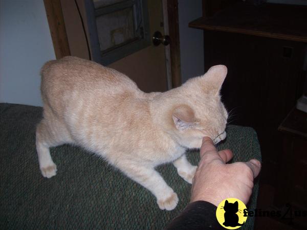 PussycatMsJane Picture 2